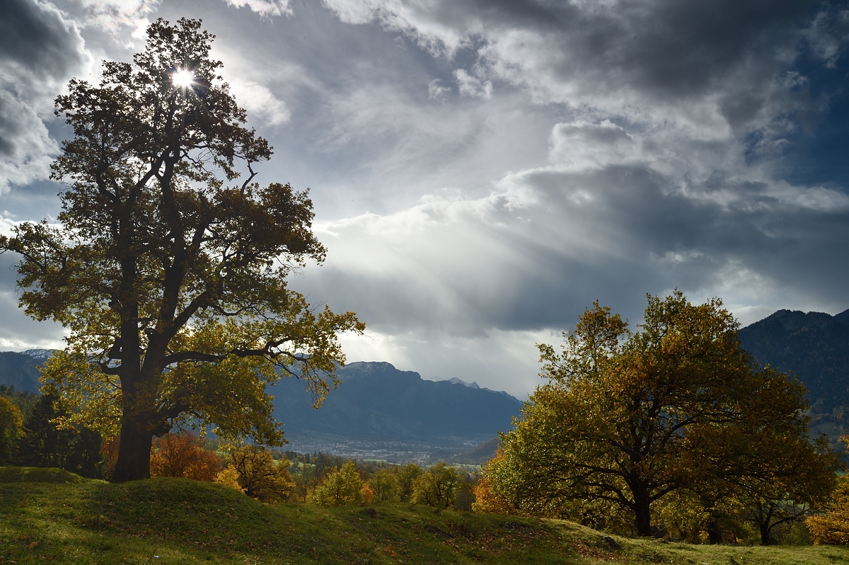 Herbststimmung