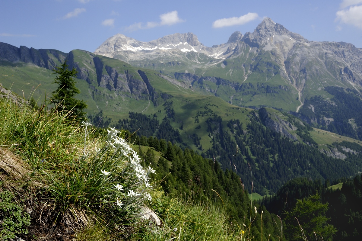 Guggernüll Splügen