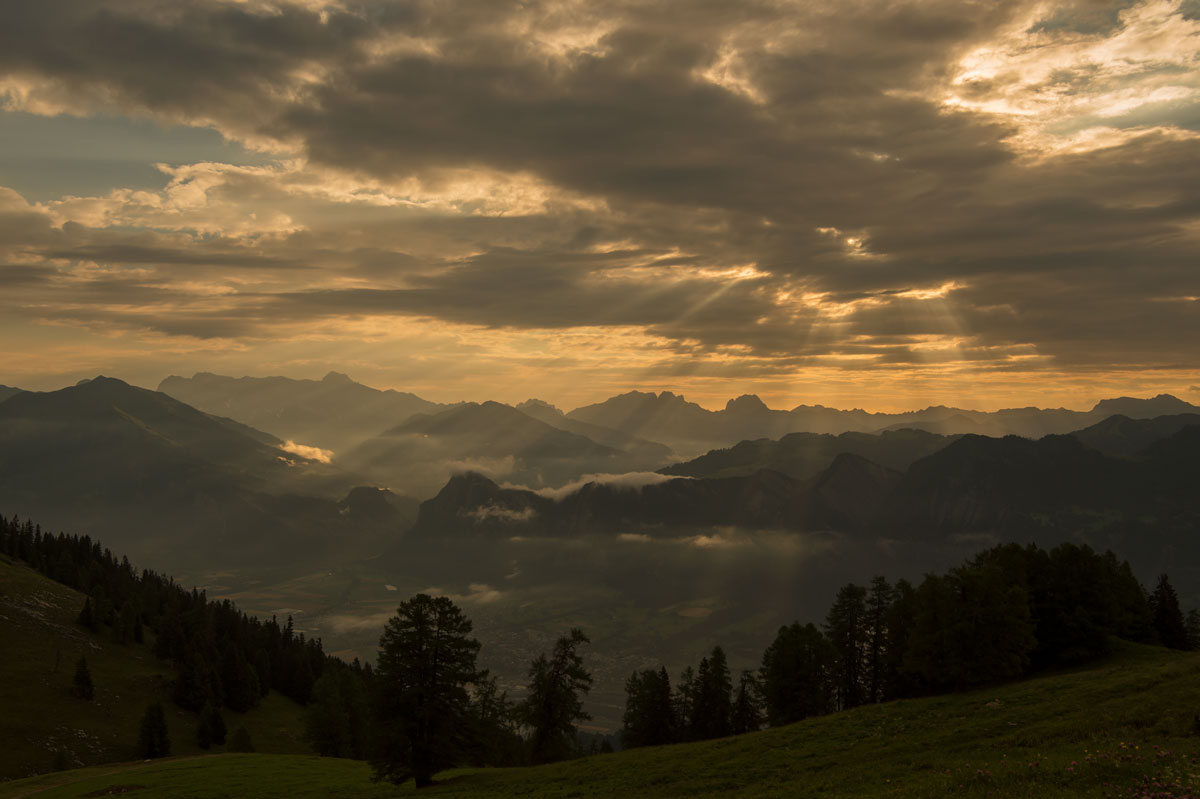 Morgenstimmung Hintere Alp Untervaz